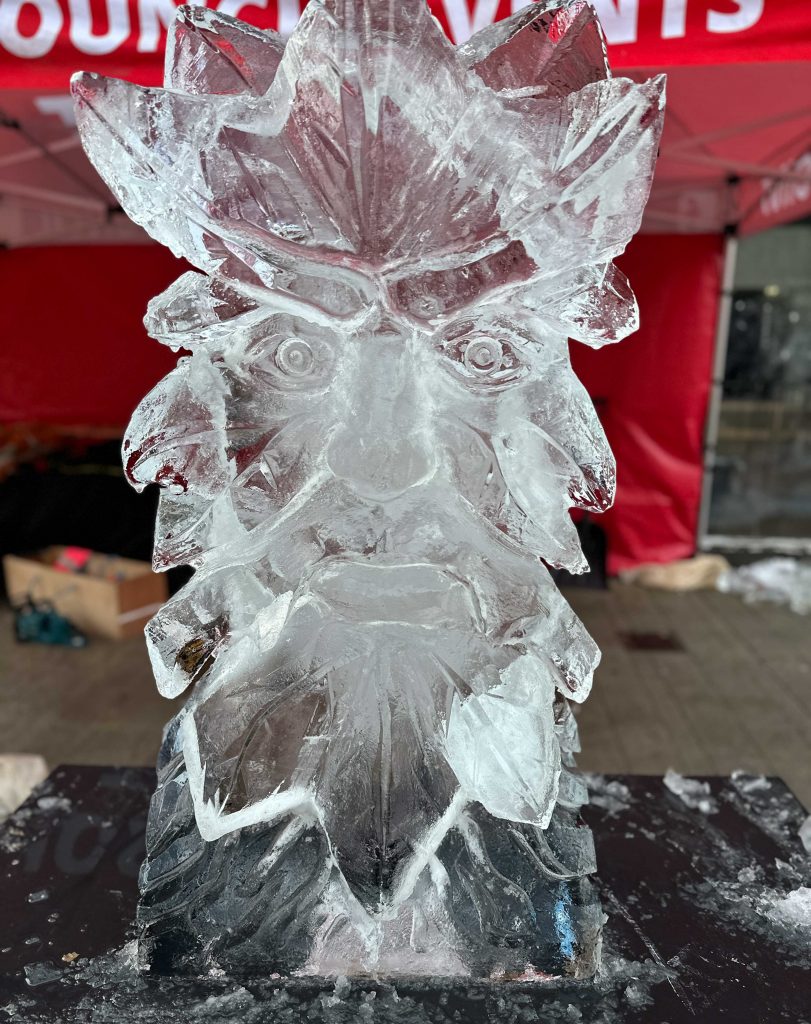 1 hour live ice carving 16