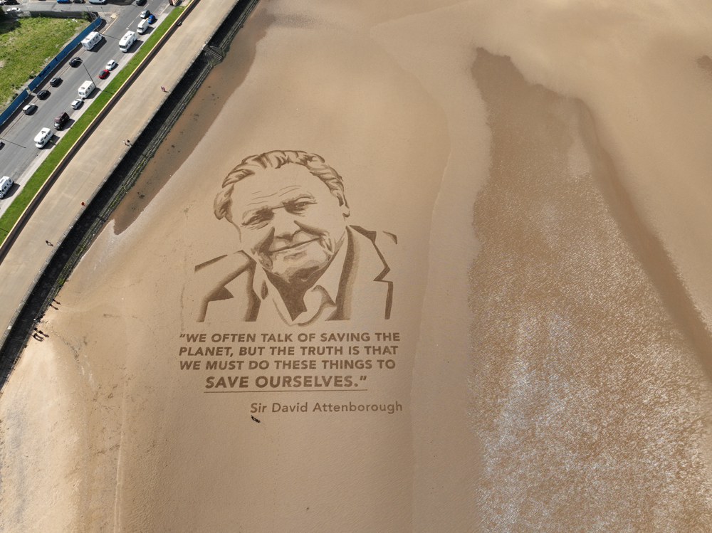 david_attenborough_sand_drawing