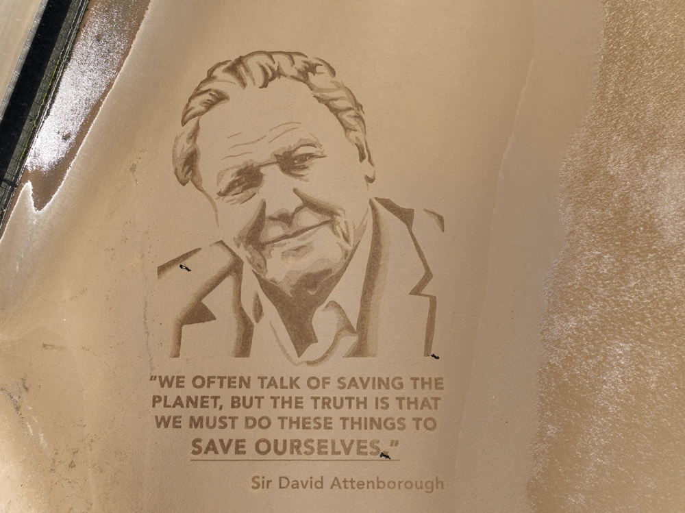 Sir David Attenborough Sand Drawing in Morecambe for his 100th Birthday