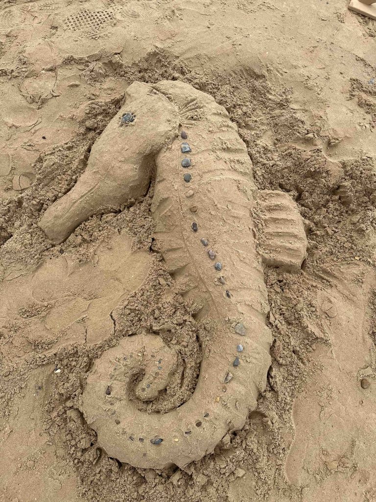 Seashore Sand Sculpture Workshops & Surprise Rescue at Redcar Kite Festival 16 Sand Sculpture workshops redcar 26