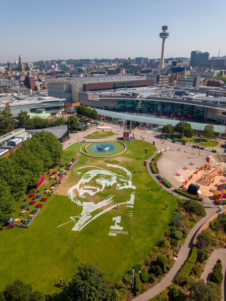 grass_art