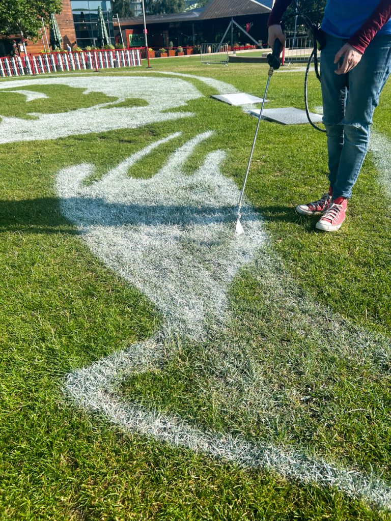 grass_painting_liverpool