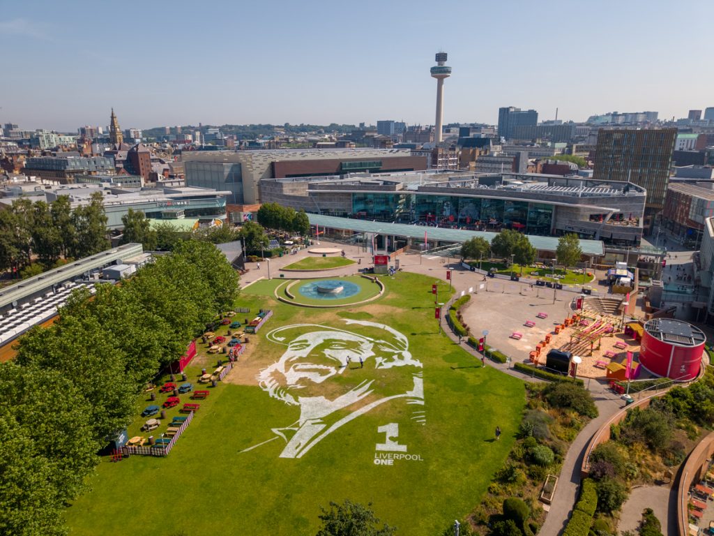 grass_painting_north_west